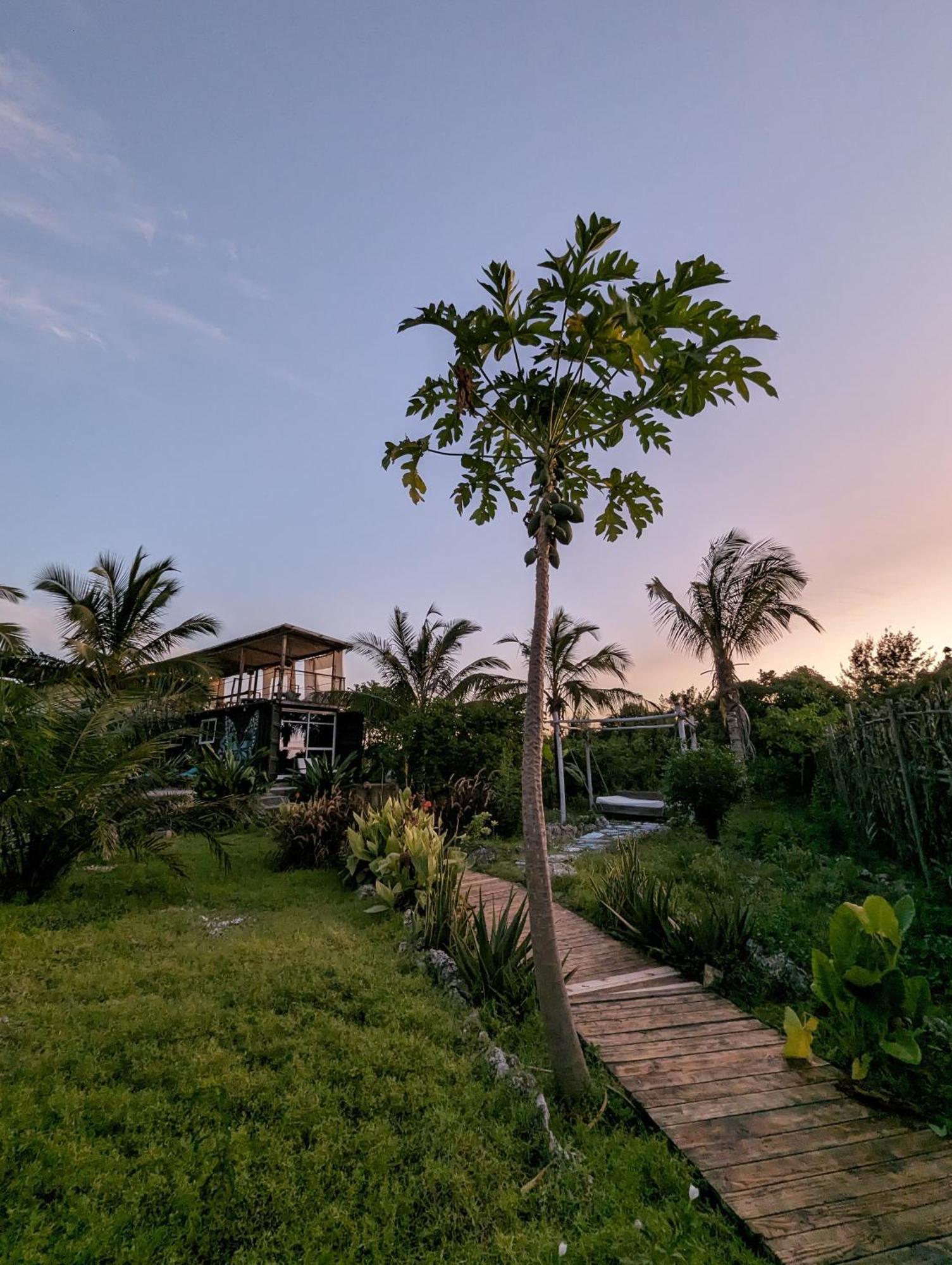 Jambiani Backpackers Hostel Kültér fotó